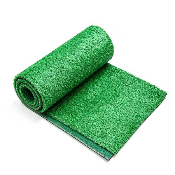 turf grass