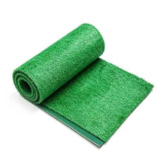 turf grass